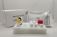 تست تشخیصی پلاسما سرم کیت Igg Elisa برای آنتی ژن هسته هپاتیت B