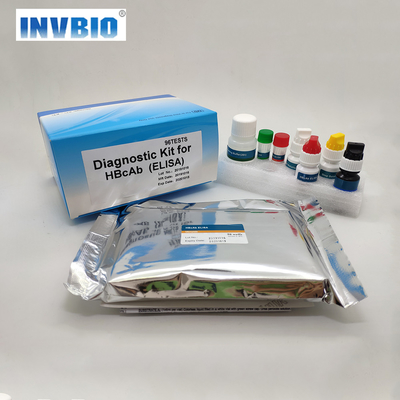 بسته بندی OEM Reagents Test Elisa Diagnostics Medical HBsAb