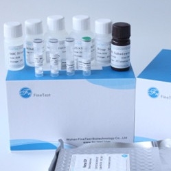 کیت الایزا دارای گواهی Fsc Human Ifnw1 Interferon Omega-1