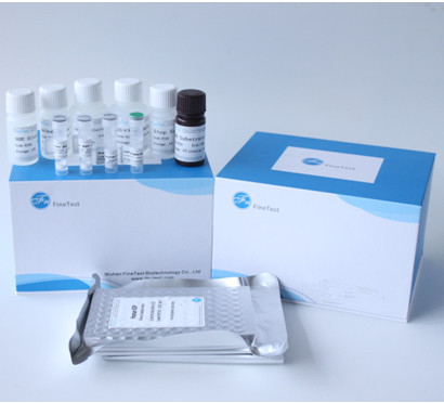 کیت تست آنزیم مبدل آنژیوتانسین I ACE Elisa INVBIO
